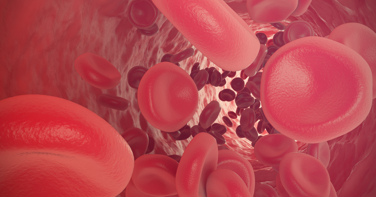 t prot on blood test results t prot on blood test results